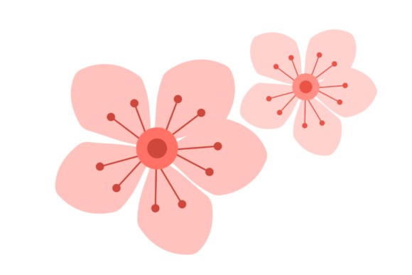 Download Delicate Cherry Blossom - Premium Resources