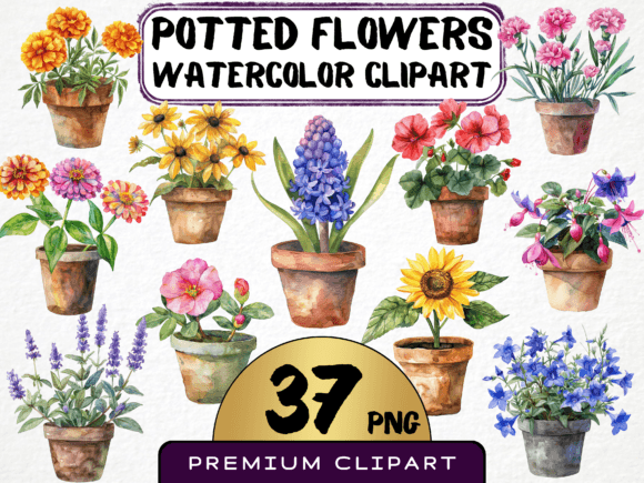Download Potted Flowers Clipart Bundle 37 PNG - Potted flowers Collection