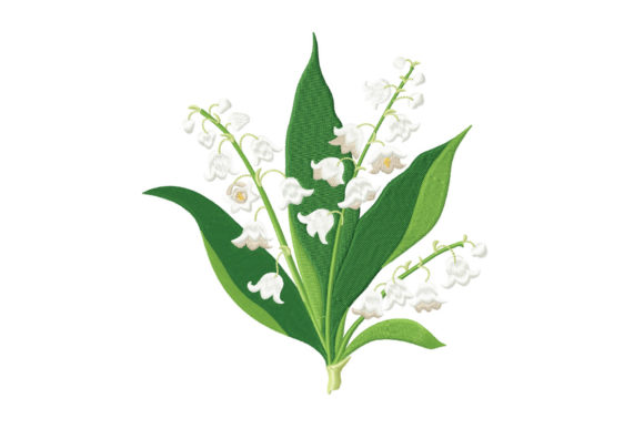 Download Spring Lily of the Valley Flowers - Lily of the valley Collection