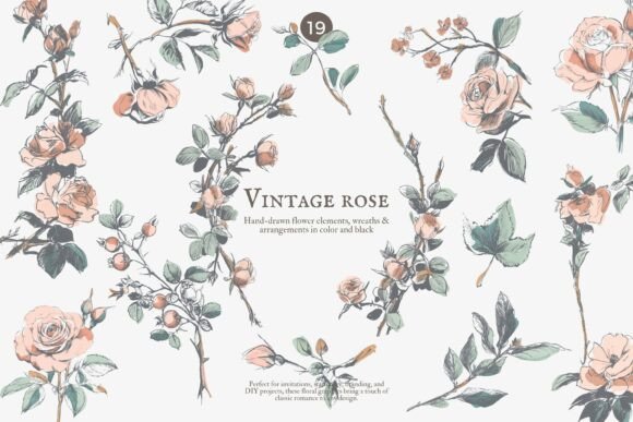 Download Vintage Rose Floral Clipart Set - Floral clipart Collection
