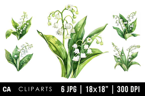 Download Watercolor Lily of the Valley Cliparts - Lily of the valley Collection