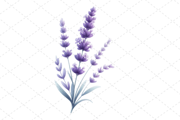 Download Lavender Bliss Watercolor Clipart - Premium Resources